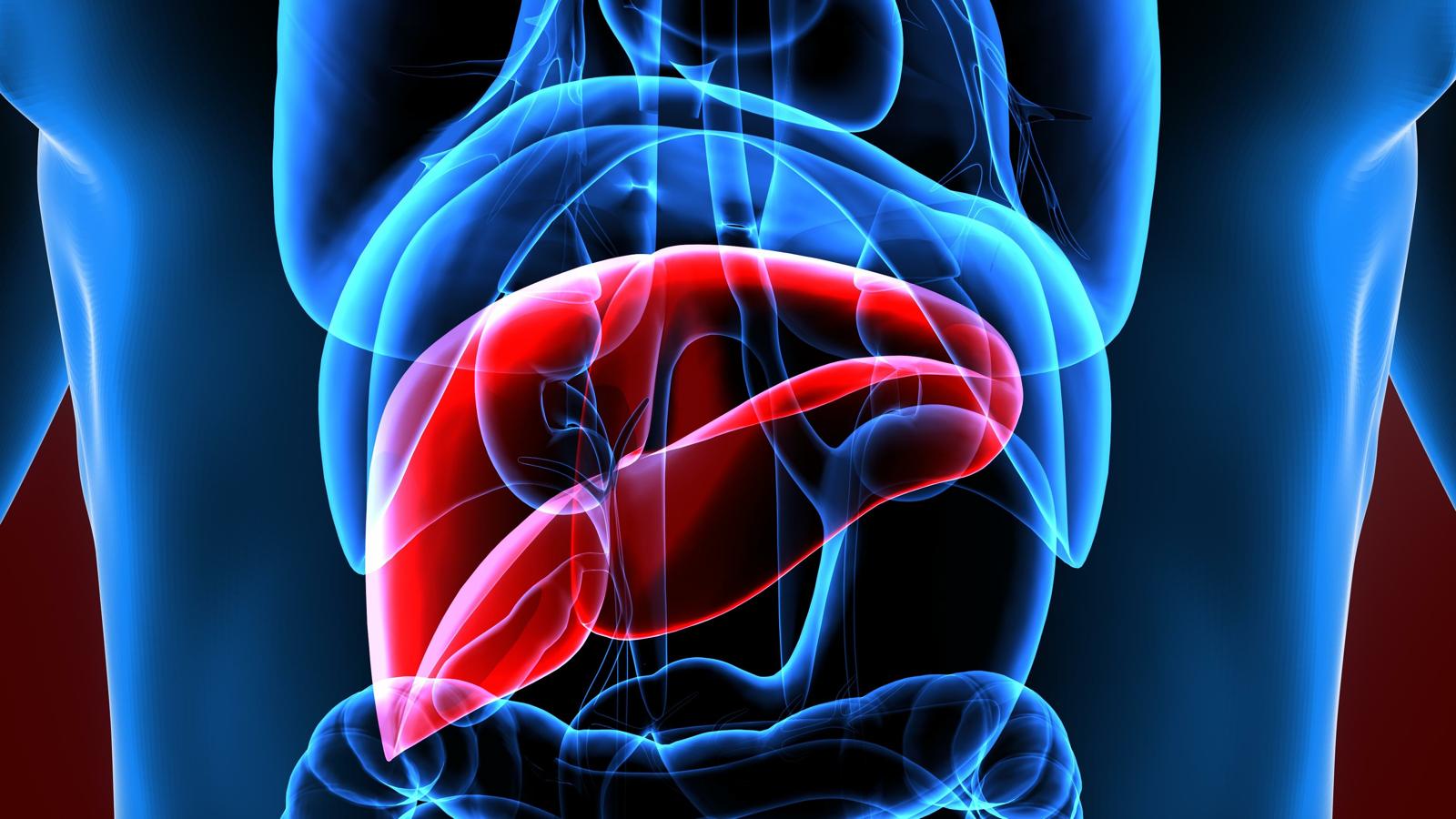 Gli scienziati creano mini pancreas: nuove speranze nella lotta al cancro!
