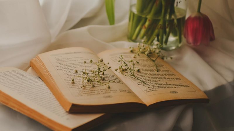 Scopri il segreto: Alessandro Barbero, Claudio Bisio e altri big al Salone del Libro!